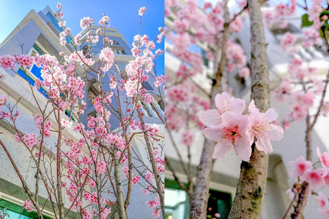 林居民宿 Jinhu Exterior foto